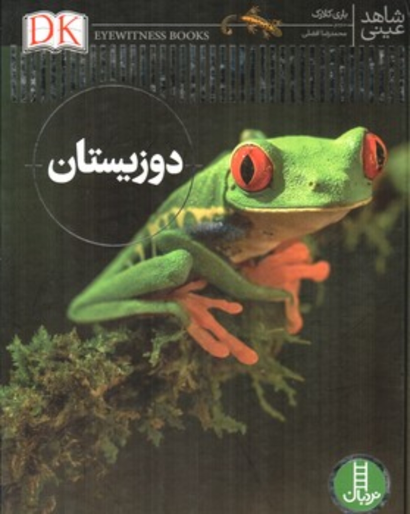 تصویر  مجموعه ماجرا های نابغه عصر حجر - هندسه عصر حجری مکعب (رحلی-شمیز)